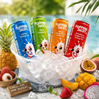 POPPING JACKY VARIETY PACK – ALL 4 FLAVOURS POPPING BOBA DRINK 240ML