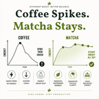 Comparison chart between coffee and matcha energy levels over time with corresponding benefits.